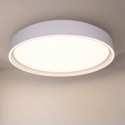 Brilagi - LED prigušivo stropno svjetlo NANCI LED/60W/230V 3000-6500K Ø 49 cm bijela + daljinski upravljač