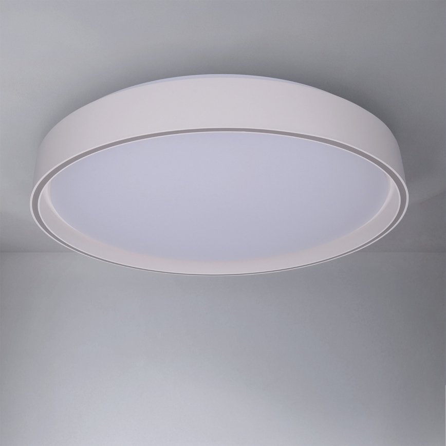 Brilagi - LED prigušivo stropno svjetlo NANCI LED/60W/230V 3000-6500K Ø 49 cm bijela + daljinski upravljač