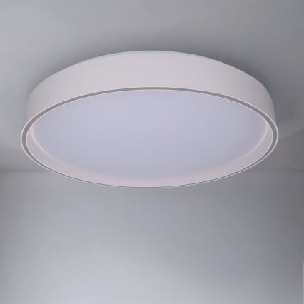 Brilagi - LED prigušivo stropno svjetlo NANCI LED/60W/230V 3000-6500K Ø 49 cm bijela + daljinski upravljač