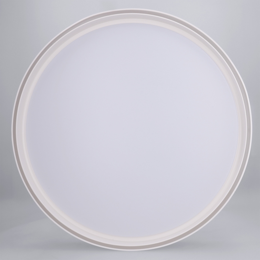 Brilagi - LED prigušivo stropno svjetlo NANCI LED/60W/230V 3000-6500K Ø 49 cm bijela + daljinski upravljač