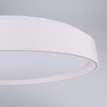 Brilagi - LED prigušivo stropno svjetlo NANCI LED/60W/230V 3000-6500K Ø 49 cm bijela + daljinski upravljač