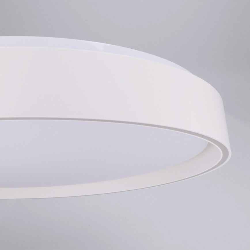 Brilagi - LED prigušivo stropno svjetlo NANCI LED/60W/230V 3000-6500K Ø 49 cm bijela + daljinski upravljač