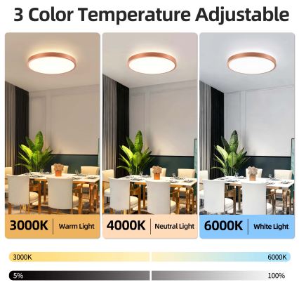 BRILAGI - LED stropna svjetiljka s mogućnošću prigušivanja GLASS POOL DOUBLE LED/60W/230V pr. 50 cm bakrena + daljinski upravljač
