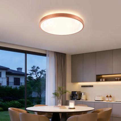 BRILAGI - LED stropna svjetiljka s mogućnošću prigušivanja GLASS POOL DOUBLE LED/60W/230V pr. 50 cm bakrena + daljinski upravljač