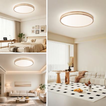 Brilagi - LED prigušivo stropno svjetlo MOLINA LED/100W/230V 3000-6000K hrast prom. 80 cm + daljinski upravljač