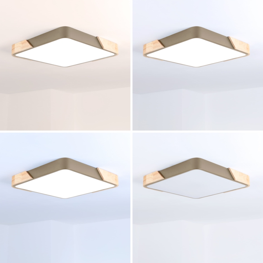 BRILAGI - LED prigušivo stropno svjetlo PILANA SQUARE LED/48W/230V 3000-6500K hrast/bež 42x42 cm + daljinski upravljač
