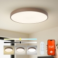 Brilagi - LED svjetiljka s prigušivanjem POOL SMART LED/100W/230V promjer 80 cm 3000-6000K Wi-Fi Tuya + daljinski upravljač smeđa