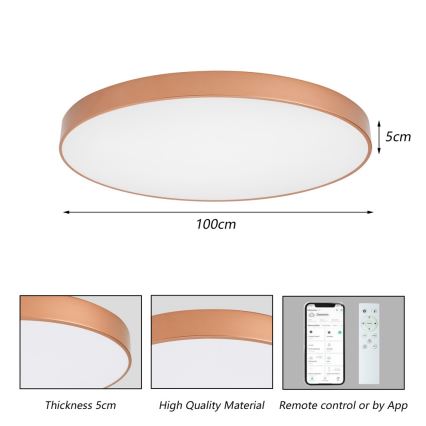 BRILAGI - LED prigušivo stropno svjetlo POOL SMART LED/128W/230V 100 cm 3000-6000K Wi-Fi Tuya brončano + daljinski upravljač