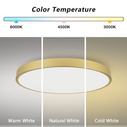 Brilagi - LED stropna svjetiljka s prigušivanjem POOL SMART LED/128W/230V 3000-6000K 100 cm zlatna Wi-Fi Tuya + daljinski upravljač