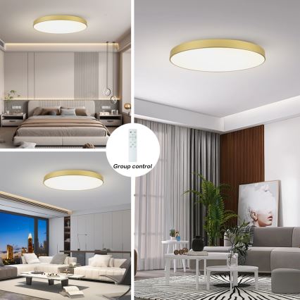 Brilagi - LED stropna svjetiljka s prigušivanjem POOL SMART LED/128W/230V 3000-6000K 100 cm zlatna Wi-Fi Tuya + daljinski upravljač