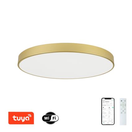 Brilagi - LED stropna svjetiljka s prigušivanjem POOL SMART LED/128W/230V 3000-6000K 100 cm zlatna Wi-Fi Tuya + daljinski upravljač