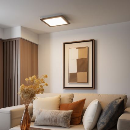 Brilagi - prigušivo stropno LED svjetlo SLIMFRAME WOOD LED/36W/230V 49,5x49,5 cm 3000-6000K smeđe + daljinski upravljač