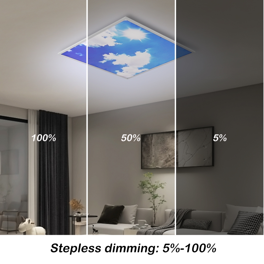 Brilagi - LED stropno svjetlo s mogućnošću prigušivanja SLIMFRAME SKY LED/58W/230V 60x60 cm 3000-6000K srebrna/plava + daljinski upravljač