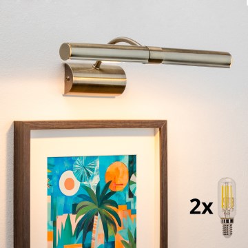 Brilagi - LED Svjetiljka za slike DANAE 2xE14/4W/230V 3000K brončana