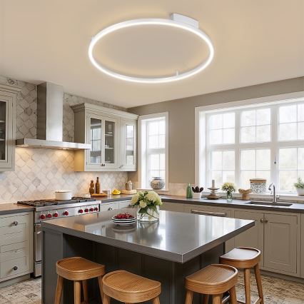 Brilagi - LED prigušivo stropno svjetlo PORTOFINO LED/60W/230V 3000-6000K promjer 80 cm srebrno s daljinskim upravljačem