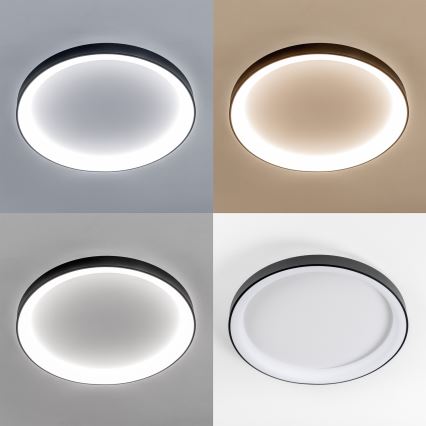 Brilagi - LED stropno svjetlo s mogućnošću prigušivanja FALCON II LED/108W/230V 3000-6500K Ø 80 cm crno + daljinski upravljač