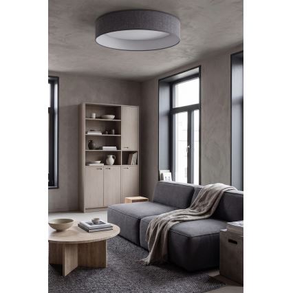 Brilagi - LED stropno svjetlo s prigušivanjem VELVET SMART VARI LED/36W/230V 3000-6500K Ø 55 cm siva + daljinski upravljač