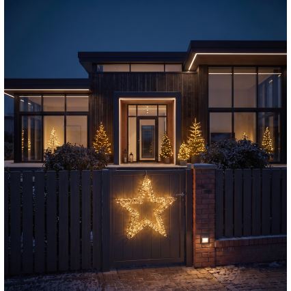 BRILAGI - LED vanjska božićna dekoracija LED/3,3W/230V IP44 60 cm zvijezda