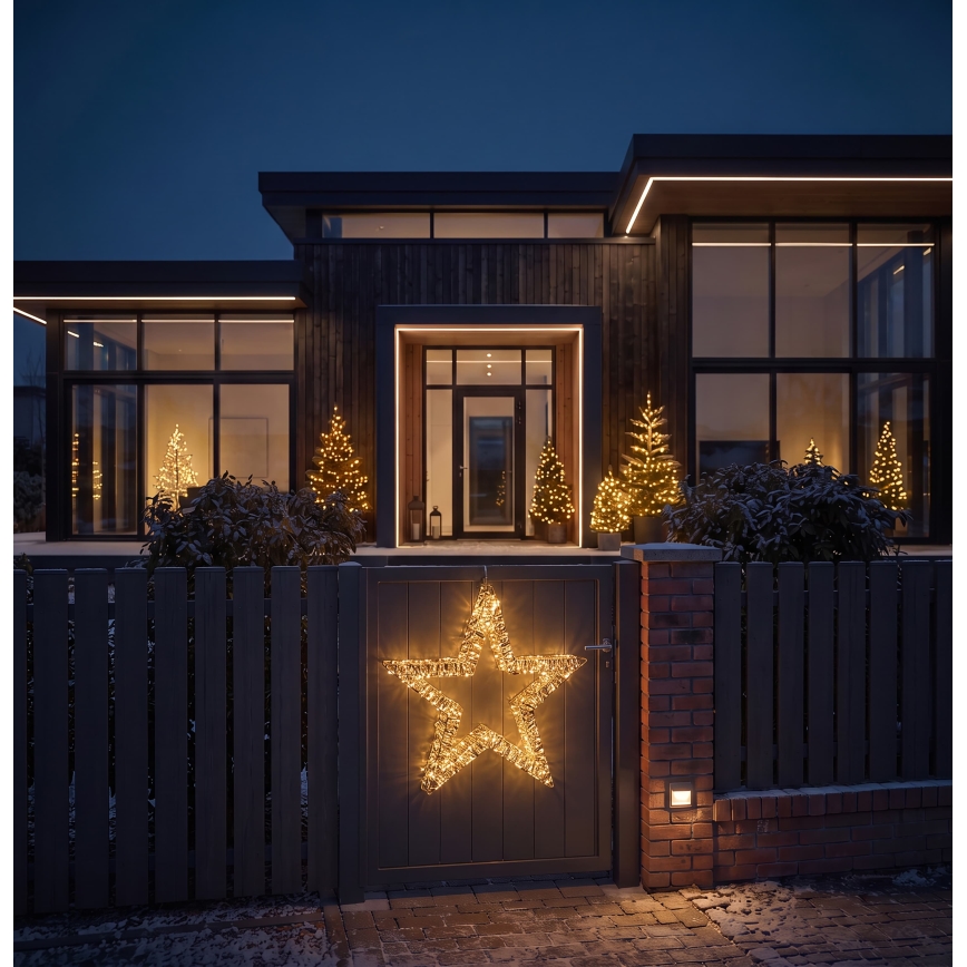 BRILAGI - LED vanjska božićna dekoracija LED/3,3W/230V IP44 60 cm zvijezda