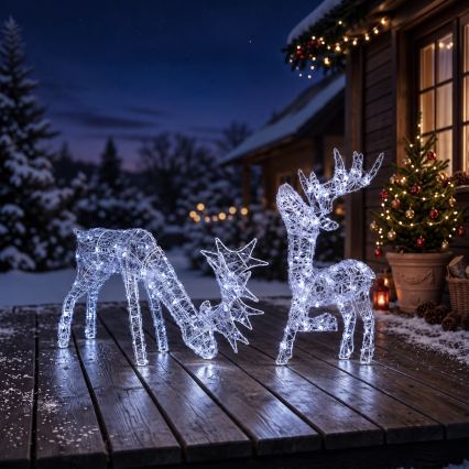 BRILAGI - LED Vanjska božićna dekoracija LED/3,3W/230V IP44 60x37 cm sob