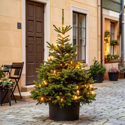 Brilagi - LED vanjska božićna girlanda 10xLED/3xAA 3,2m IP44 topla bijela