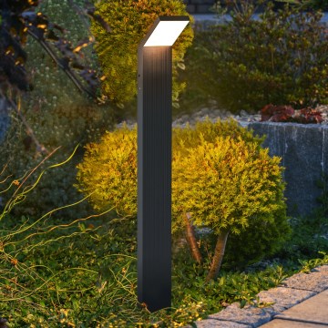 Brilagi - LED vanjska lampa RIANO LED/8W/230V antracit IP65 80 cm