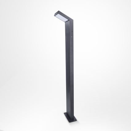 Brilagi - LED vanjska lampa RIANO LED/8W/230V antracit IP65 80 cm