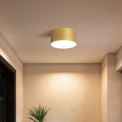 BRILAGI - LED vanjsko stropno svjetlo FORIS LED/14W/230V Ø 12 cm zlatna IP44