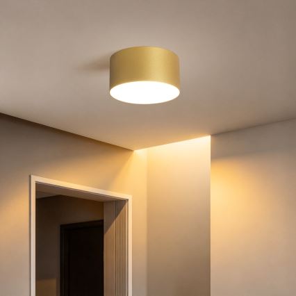 BRILAGI - LED vanjsko stropno svjetlo FORIS LED/14W/230V Ø 12 cm zlatna IP44