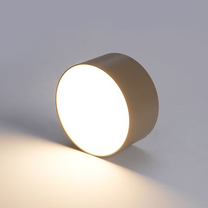 BRILAGI - LED Vanjska stropna svjetiljka FORIS LED/20W/230V Ø 15 cm bež IP44