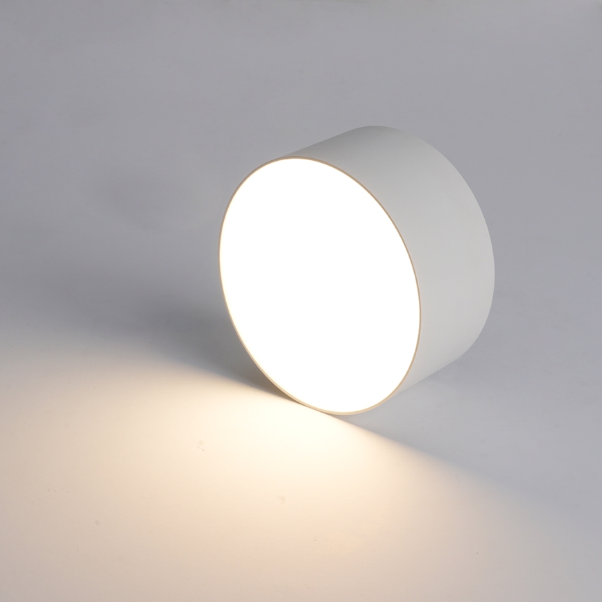 BRILAGI - LED vanjska stropna svjetiljka FORIS LED/20W/230V Ø 15 cm bijela IP44