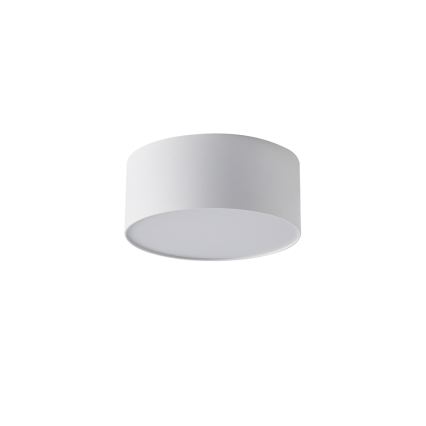 BRILAGI - LED vanjska stropna svjetiljka FORIS LED/20W/230V Ø 15 cm bijela IP44