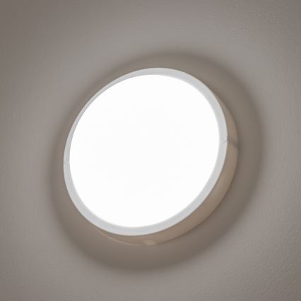 Brilagi - LED Vanjska stropna svjetiljka LED/13W/230V pr. 17 cm IP54