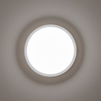 Brilagi - LED Vanjska stropna svjetiljka LED/13W/230V pr. 17 cm IP54