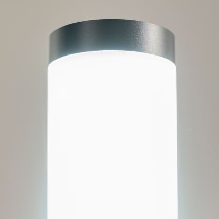 BRILAGI - LED vanjska svjetiljka ELIA 1xE27/7W/230V 4000K IP44 50 cm antracit