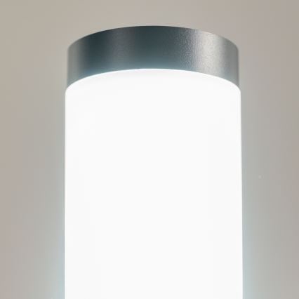 BRILAGI - LED vanjska lampa s utičnicom ELIA 1xE27/7W/230V 4000K IP44 50 cm antracit
