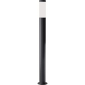 Brilagi - LED vanjska svjetiljka ELIA s prigušivanjem 1xE27/6W/230V 2700-6500K IP44 Wi-Fi 100 cm antracit