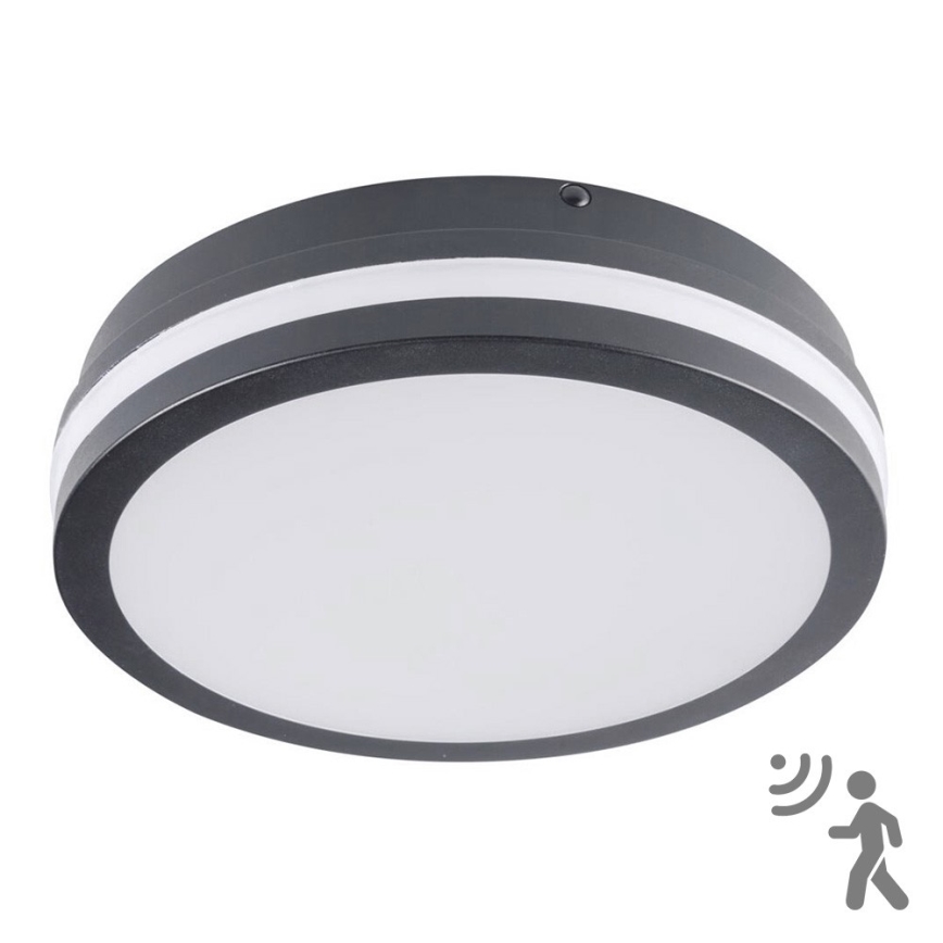 Brilagi - LED vanjsko svjetlo s senzorom BENE LED/18W/230V promjer 22 cm antracit IP54