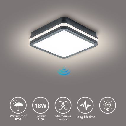 Brilagi - LED Vanjska svjetiljka sa senzorom BENE LED/18W/230V 22x22 cm antracit IP54
