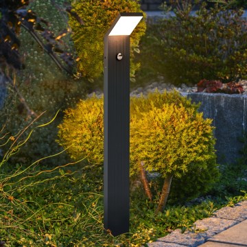 Brilagi - LED vanjska svjetiljka sa senzorom RIANO LED/8W/230V antracit IP65