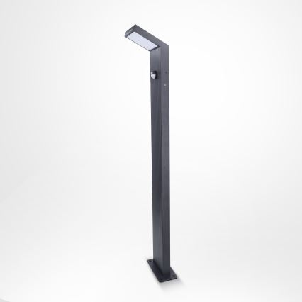 Brilagi - LED vanjska svjetiljka sa senzorom RIANO LED/8W/230V antracit IP65