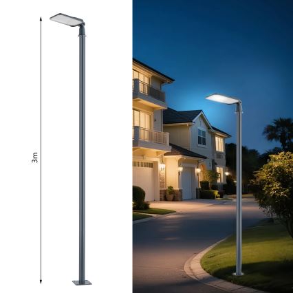 Brilagi - LED vanjska ulična svjetiljka sa stupom i zglobom 3 m URBANLIGHT LED/100W/230V antracit IP65