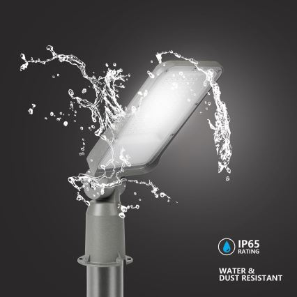 Brilagi - LED vanjska ulična svjetiljka sa stupom i zglobom 3 m URBANLIGHT LED/50W/230V siva IP65