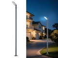 Brilagi - LED vanjska ulična svjetiljka sa stupom i zglobom 3 m URBANLIGHT LED/50W/230V antracit IP65