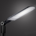 Brilagi - LED Vanjska ulična svjetiljka URBANLIGHT LED/250W/230V crna IP65