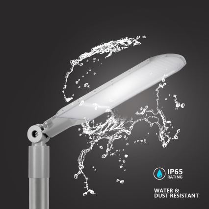 Brilagi - LED vanjska ulična svjetiljka URBANLIGHT LED/250W/230V siva IP65