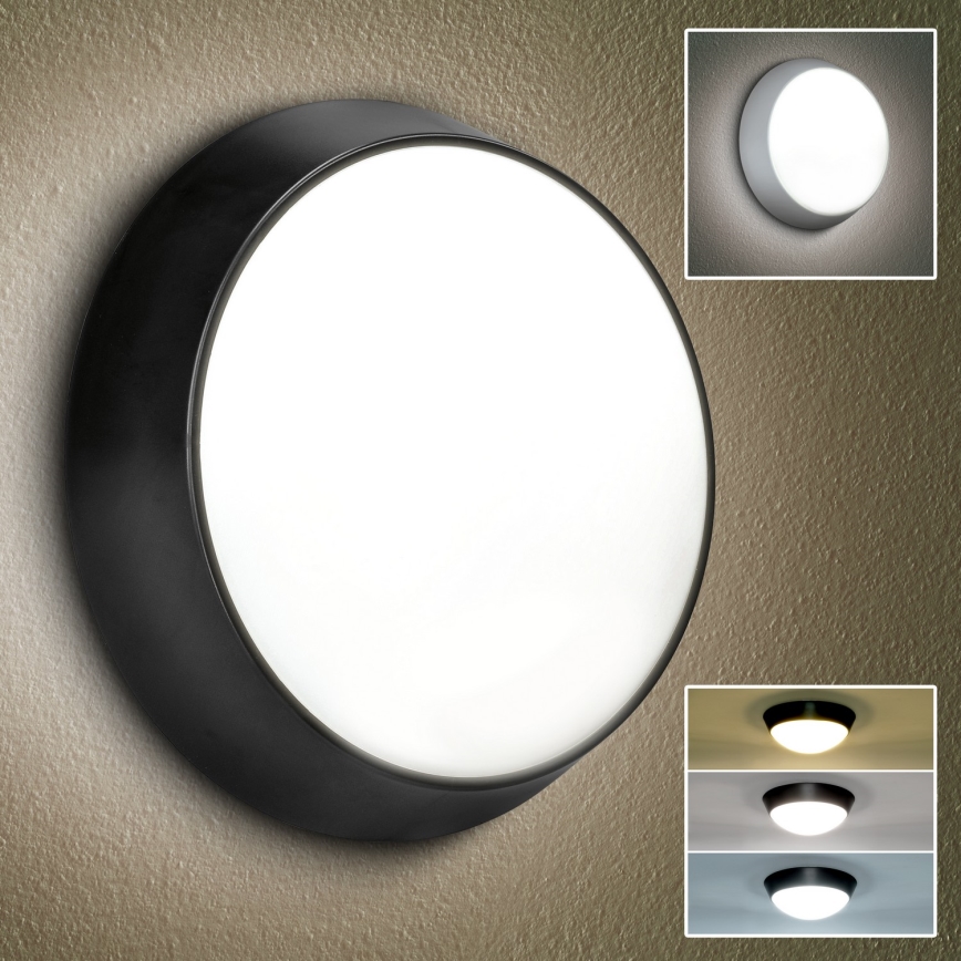 Brilagi - LED Vanjska zidna svjetiljka 2u1 BULKHEAD LED/20W/230V 3000/4000/6000K IP65