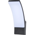 Brilagi - LED Vanjska zidna svjetiljka ARCELO LED/9W/230V IP44
