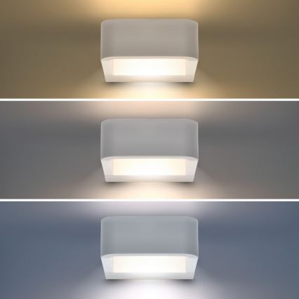 Brilagi - LED Vanjska zidna svjetiljka BARI LED/7W/230V 3000/4000/6000K bijela IP54