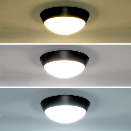 Brilagi - LED Vanjska zidna svjetiljka 2u1 BULKHEAD LED/20W/230V 3000/4000/6000K IP65